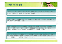 [국제경영전략] 대우자동차와 대우일렉트로닉스의 성공과 세계화 전략-7