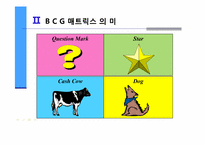 [마케팅의이해] BCG(Boston Consulting Group) 매트릭스를 통한 기업분석-4