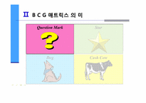 [마케팅의이해] BCG(Boston Consulting Group) 매트릭스를 통한 기업분석-6