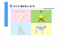 [마케팅의이해] BCG(Boston Consulting Group) 매트릭스를 통한 기업분석-8