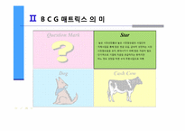 [마케팅의이해] BCG(Boston Consulting Group) 매트릭스를 통한 기업분석-9