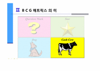 [마케팅의이해] BCG(Boston Consulting Group) 매트릭스를 통한 기업분석-12