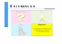 [마케팅의이해] BCG(Boston Consulting Group) 매트릭스를 통한 기업분석-13