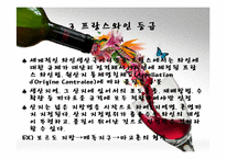 [프랑스연구] 프랑스의 와인에 관한 분석-6