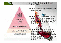[프랑스연구] 프랑스의 와인에 관한 분석-7