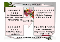 [프랑스연구] 프랑스의 와인에 관한 분석-9