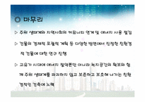[공학과윤리] 미국의 친환경 건축에 곤한 분석(시카고를 중심으로)-19