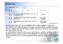 SINGLE PPM 레포트-17