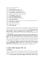 [국제경영] M&A 이후 P&G의 Gillette(질레트)마케팅 전략-8