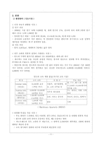 [국제마케팅] 켈로그 마케팅전략-5