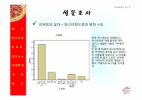 [마케팅] 피자헛 Pizza Hut의 미래모색-18