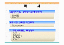 [국제통상론] 남아시아의 경제정책과 통상정책-2
