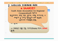 [국제통상론] 남아시아의 경제정책과 통상정책-7