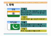 [국제통상론] 남아시아의 경제정책과 통상정책-13