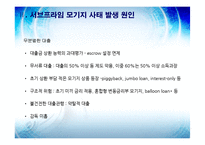 [금융기관] 서브프라임 모기지-11