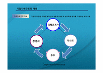 기업소유지배구조-2