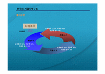 기업소유지배구조-10