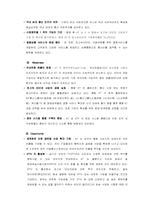 [경영정보] 통합KT에 대한 분석과 비전-8