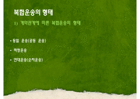 [국제물류] 국제복합운송-6