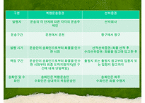 [국제물류] 국제복합운송-16