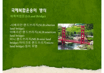 [국제물류] 국제복합운송-19