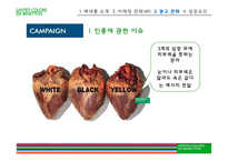 [국제마케팅] 베네통 사례-13