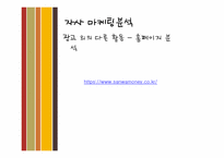 [마케팅] 산와머니 홍보전략-14