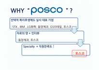 [인적자원관리] 선택적 복리후생 -포스코-6