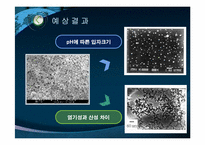 Al3O3 sol-gel 합성과 pH에 따른 나노입자의 관찰-19