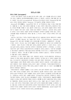 포르노 그라피 레포트-2
