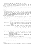 [발달심리학] 아동의 언어발달-4