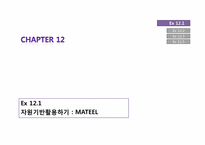 [산업조직론] Chapter12 경쟁우위의 유지 -한국의 사례-3