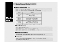 [매체기획] 도루코의 성공적 도약을 위한 매체기획-9