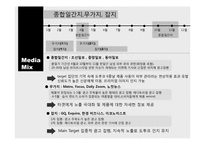 [매체기획] 도루코의 성공적 도약을 위한 매체기획-11
