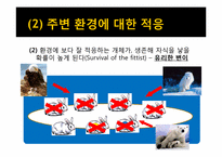 [환경생태학] 진화론과 섬 생물지리학-9