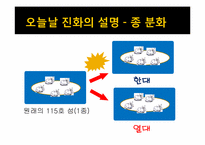 [환경생태학] 진화론과 섬 생물지리학-12