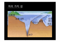 [환경생태학] 진화론과 섬 생물지리학-18