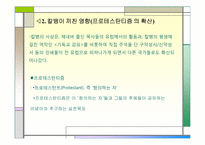 [서양사] 장 칼뱅(1509~1564)-4