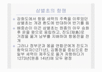 대몽항쟁과 팔만대장경-13