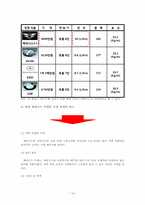 [경영혁신] 현대자동차의 제너시스 성공 마케팅 전략-14