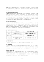 [마케팅] 빼빼로데이 시장 분석 및 대응 전략-11