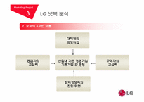 [마케팅] LG(엘지)전자 마케팅 전략 분석-13