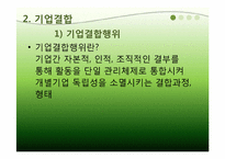 [경제법] 하이트와 진로의 기업결합에 관한 분석-6