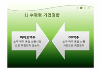 [경제법] 하이트와 진로의 기업결합에 관한 분석-17