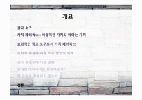 [국제광고] 광고 소구에 나타난 가치 패러독스-2