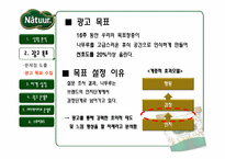 [광고PR] Natuur(나뚜루) 광고 전략-9