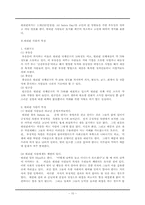 [문화와사회] 필리핀 국가 분석-10