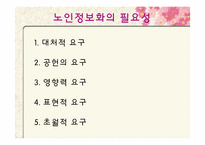[사회복지] 노인 정보화-13