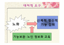 [사회복지] 노인 정보화-14