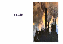 [무역관계법] 환경과 무역의 관계에관한 분석-3